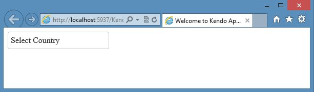 Input Element on Browser
